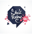 black friday sale vector image