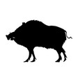 Wild Boar Royalty Free Vector Image - Vectorstock