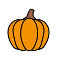 autumn pumpkin food isolated icon vector image