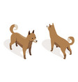 farm animal isometric domestic animal in 3d flat vector image vector image