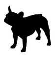 french bulldog silhouette vector image vector image