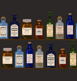 old apothecary vector image vector image