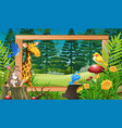wild animals in wooden frame vector image