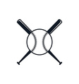 baseball league theme vector image