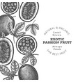 hand drawn sketch style passion fruit banner vector image