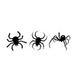 spiders on white background vector image vector image