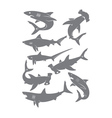 set of sharks vector image