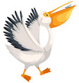 a pelican character walking vector image
