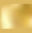 golden background vector image vector image