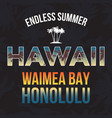 hawaii beach tee print with palm tree t-shirt vector image vector image