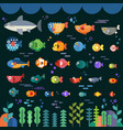 underwater life with sea animals in flat style vector image vector image