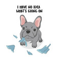 funny dog destroyed something pug playing vector image