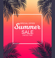 summer sale concept background with palm leaves vector image