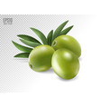 green olives and leaves isolated on transparent vector image