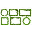 ivy frames green leaves on lianas jungle vines vector image vector image