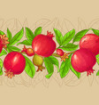 pomegranate branches pattern vector image vector image