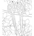 adult coloring bookpage a pair of parrots in love vector image vector image