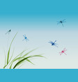 dragonflies flying over the grass and blue summer vector image vector image