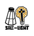 salt and light vector image vector image