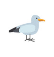stylized nautical little seagull emblem vector image vector image