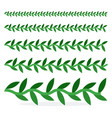 ivy plants various sizes in a row flat isolated vector image