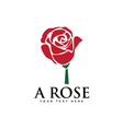red rose graphic design template isolated vector image