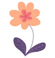 flower in blossom blooming floral decoration vector image
