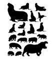 silhouette hippopotamus and sea lion vector image