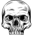 Black and white human skull Royalty Free Vector Image