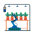 house plant care robot with robotic arm vector image