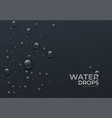 realistic water drops on black background real vector image vector image