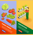 hydroponic and aeroponic vertical banners vector image vector image