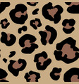 leopard skin hand drawn animal print drawing vector image vector image