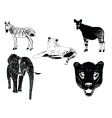 wild animals vector image