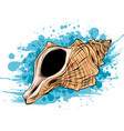 colorful tropical shells underwater icon set frame vector image