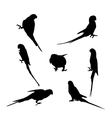 parrot vector image