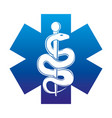 blue medical cross and snake vector image