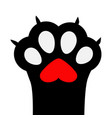 big black cat paw print leg foot with nail claw vector image