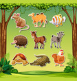 many animals in jungle background vector image