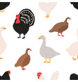 seamless pattern with domestic birds or farm vector image vector image