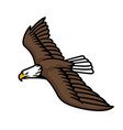 flying eagle logo vector image