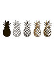 set of pineapple fruits vector image