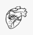 vintage outline heart organ old school flash vector image vector image