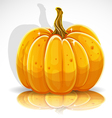 beautiful halloween pumpkin 1 vector image