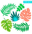 tropical leaves set vector image