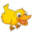 baby chick vector image
