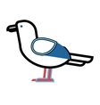 gull bird animal vector image vector image