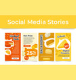 local cheese sale discount social media stories vector image