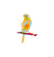 canary bird pop art vector image