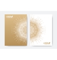 modern template for brochure leaflet vector image